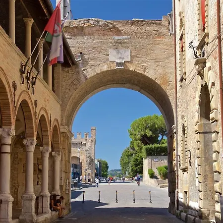 Alighieri Lifestyle * Fano